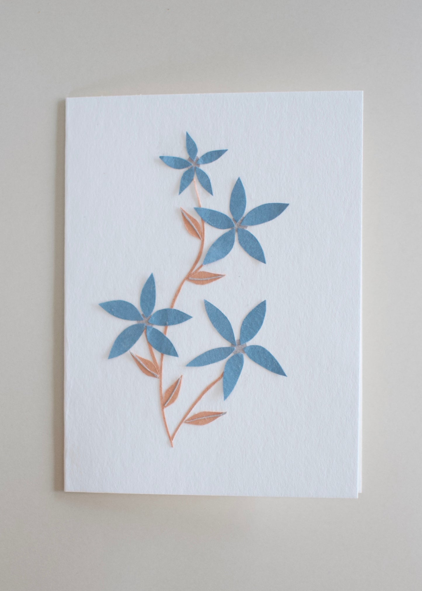 Forget Me Not