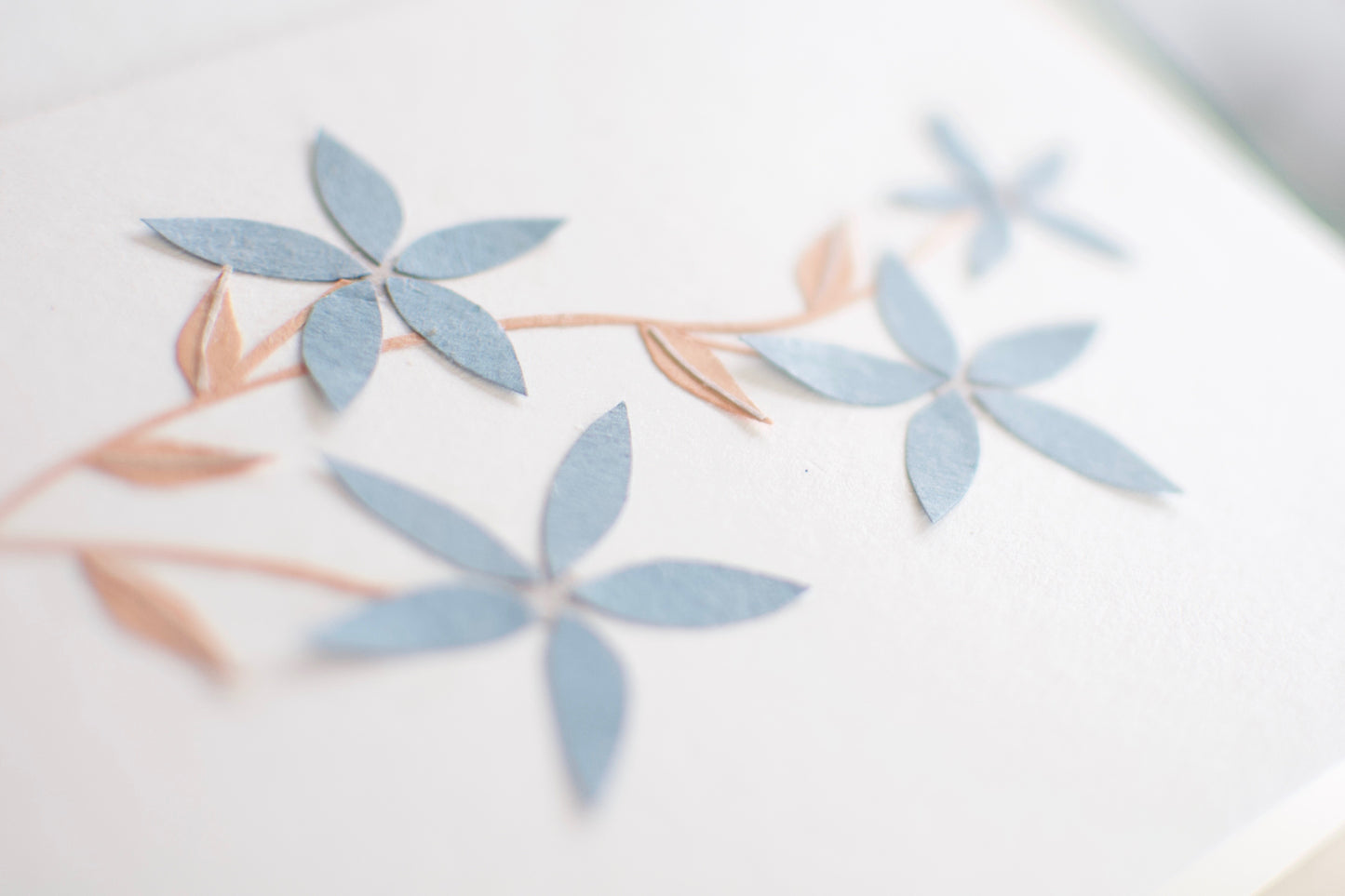 Forget Me Not